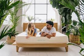 Paid Community Non-Toxic Bedroom And Sleep En Launch